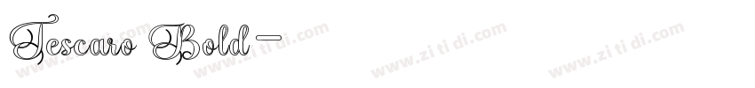 Tescaro Bold字体转换